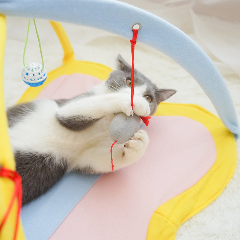 Cat Tent With Hanging Balls