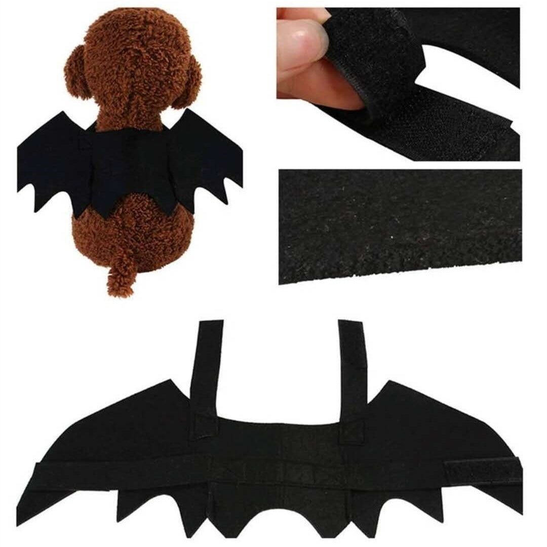 Halloween Black Bat Wings