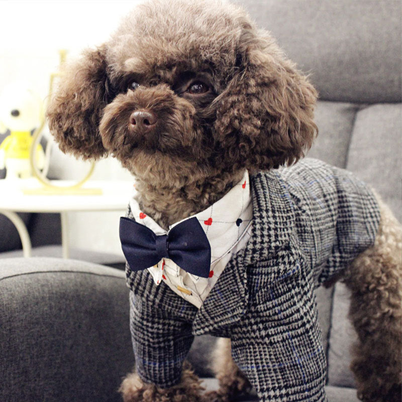Dog Wool Sport Jacket