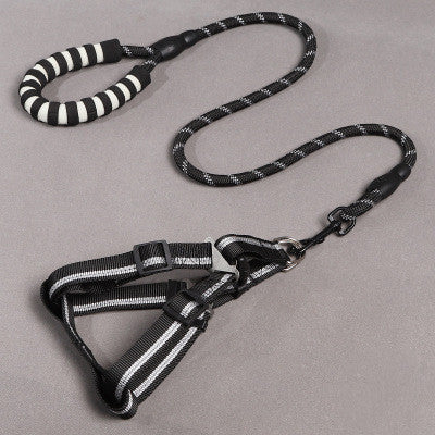 2-in-1 Dog Leash & Harness