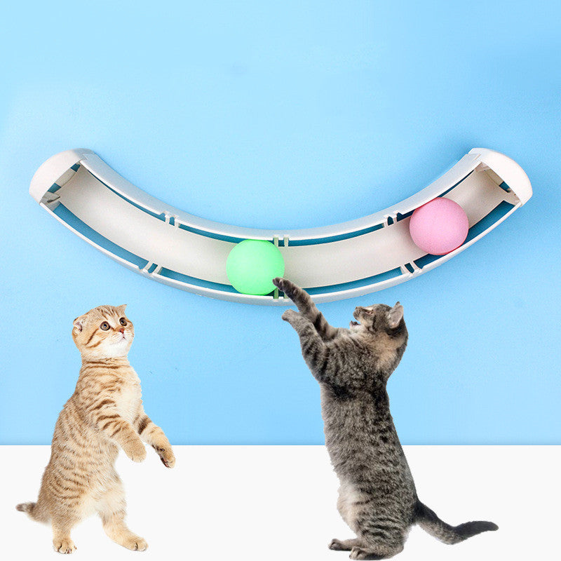 Ball and Track Cat Toy