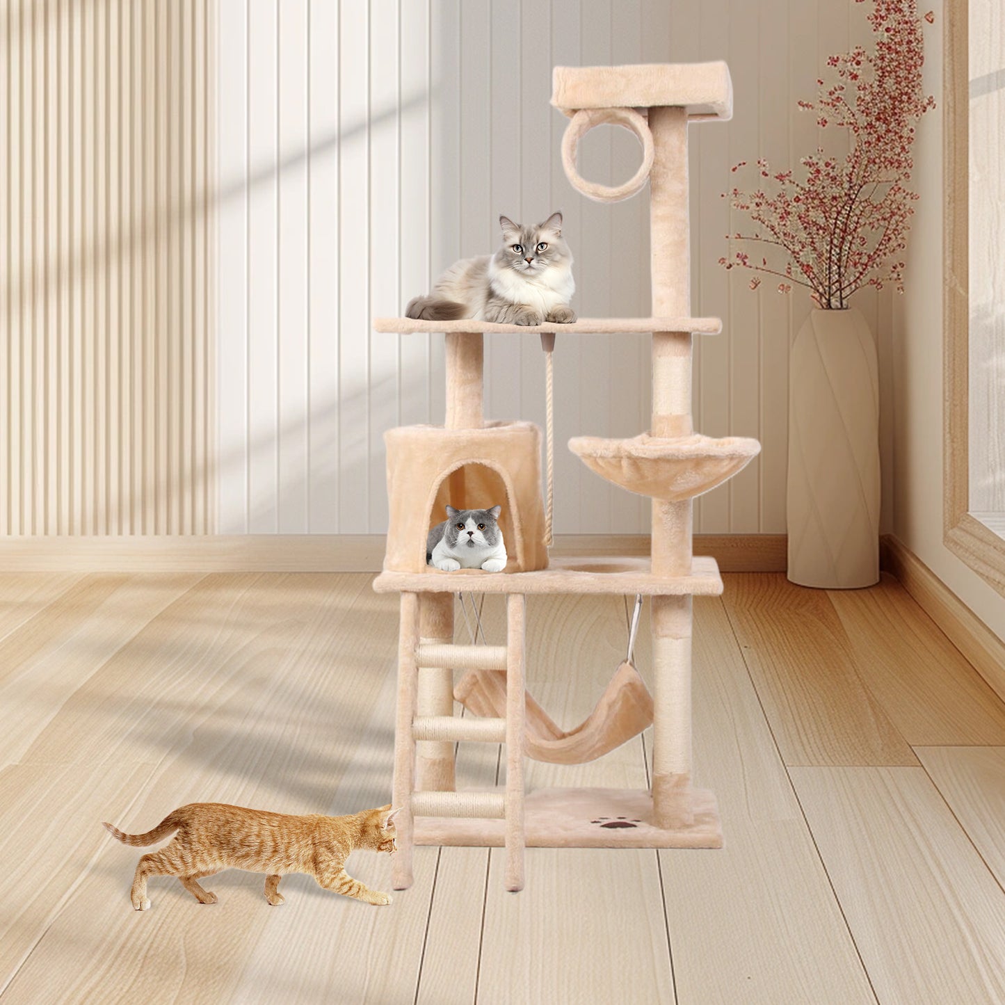 Cat Climbing Tower