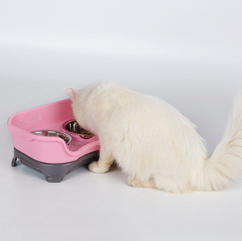 Dual Pet Bowl
