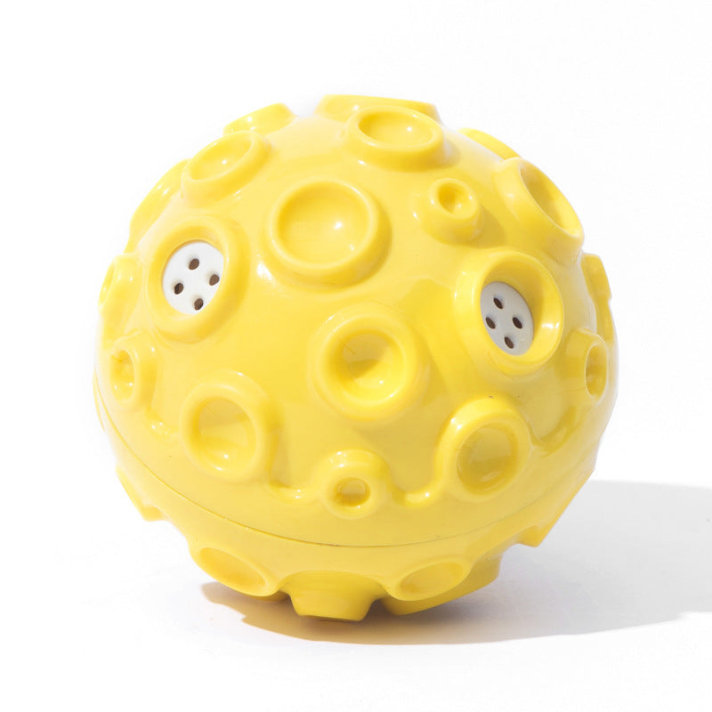 Interactive Dog Chew Toy
