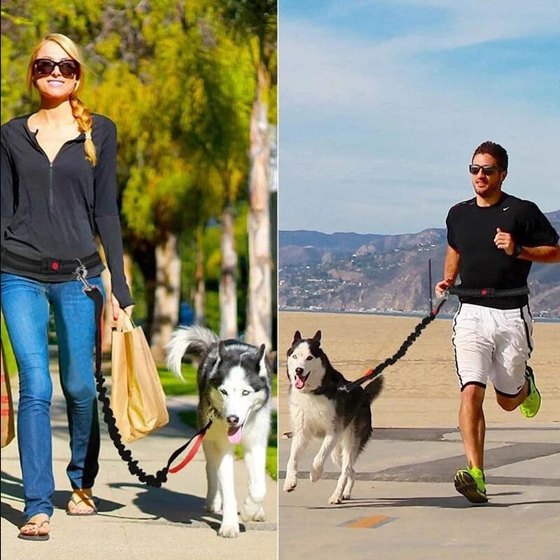 Adjustable Jogging Pet Leash & Collar