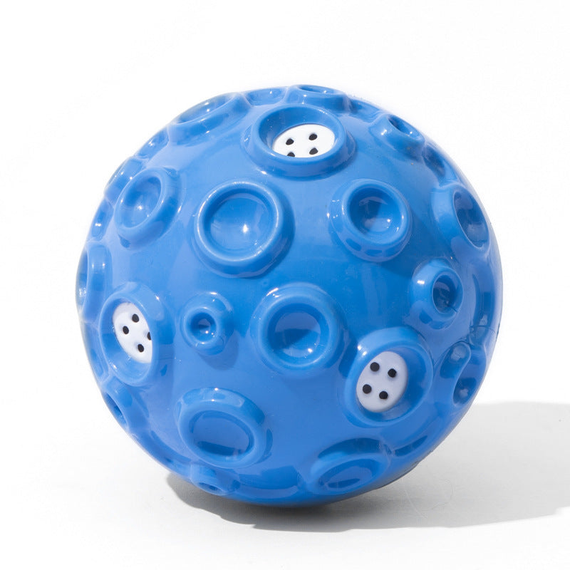 Interactive Dog Chew Toy