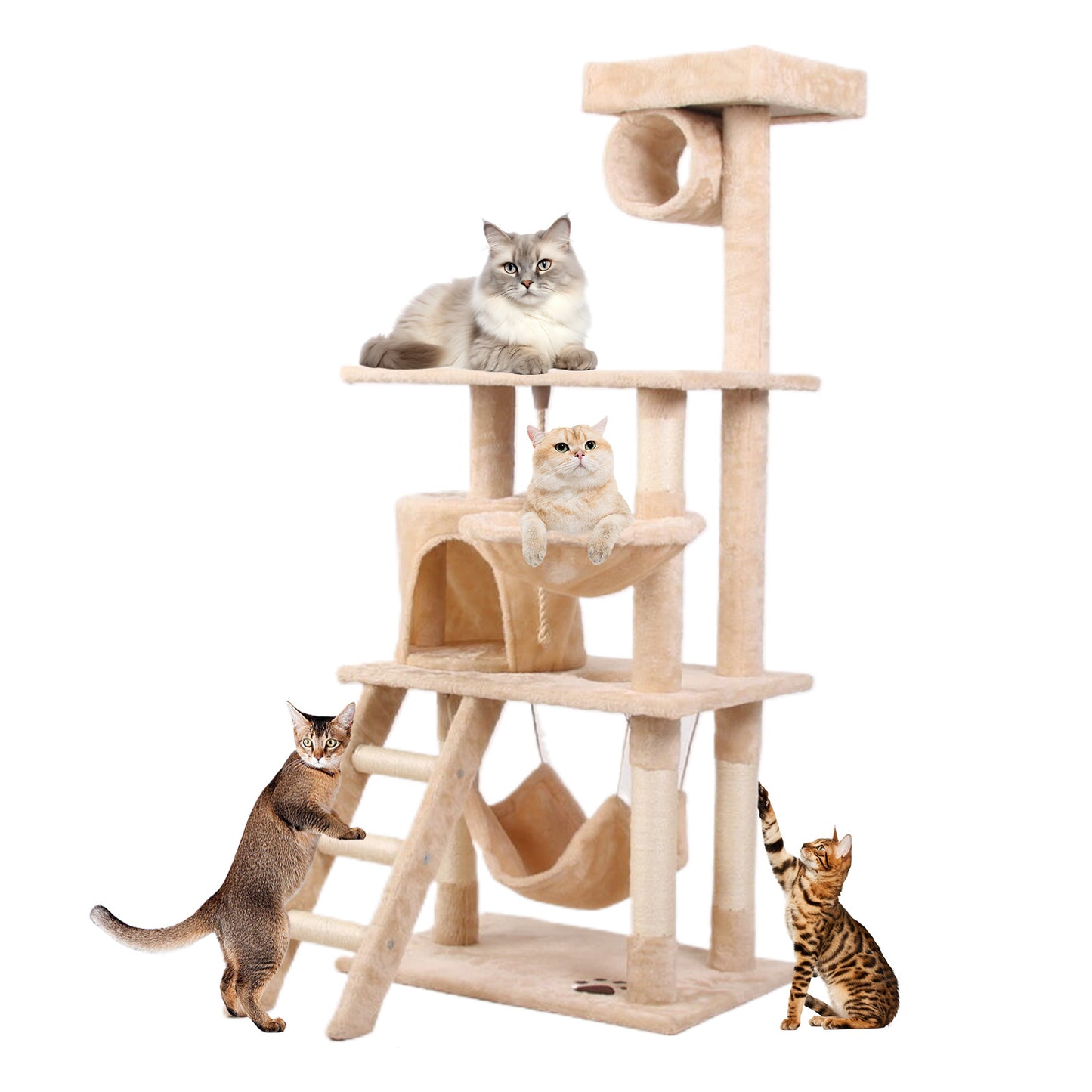 Cat Climbing Tower
