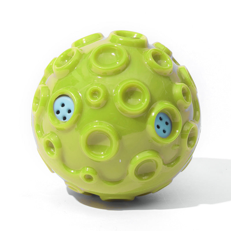 Interactive Dog Chew Toy