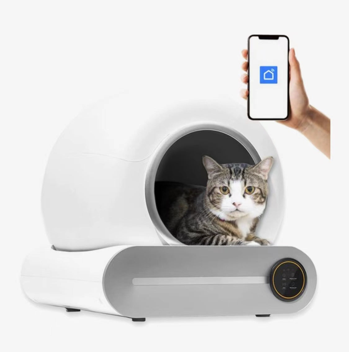 Automatic Self Cleaning Litter Box