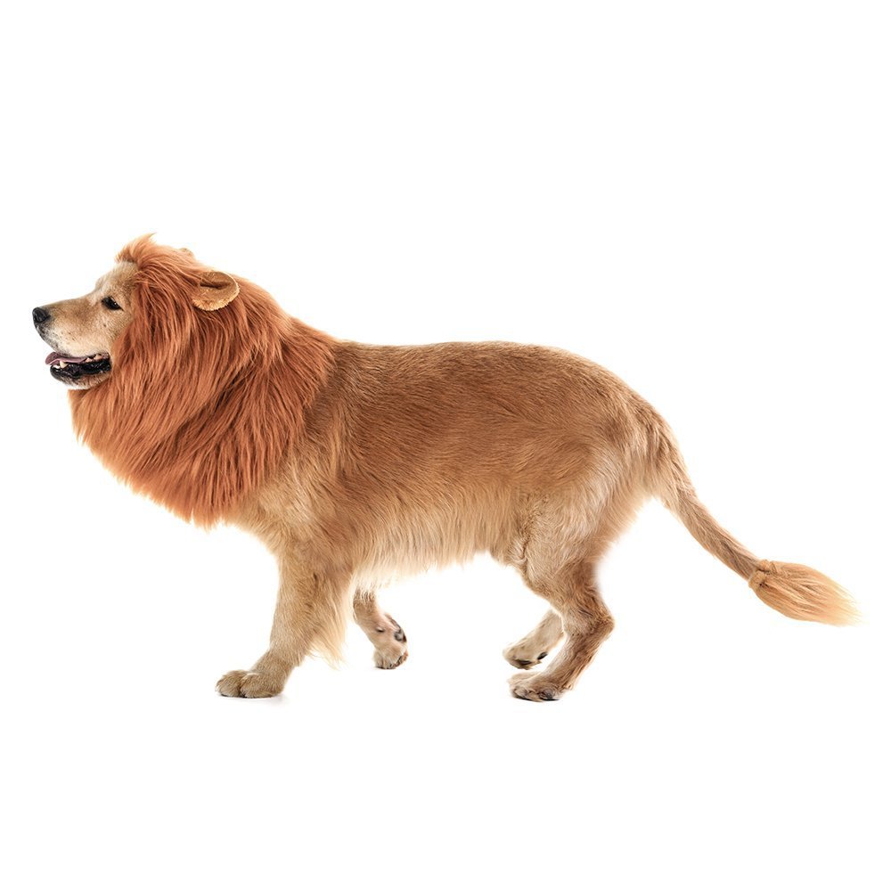 Large Halloween Pet Lion Wig