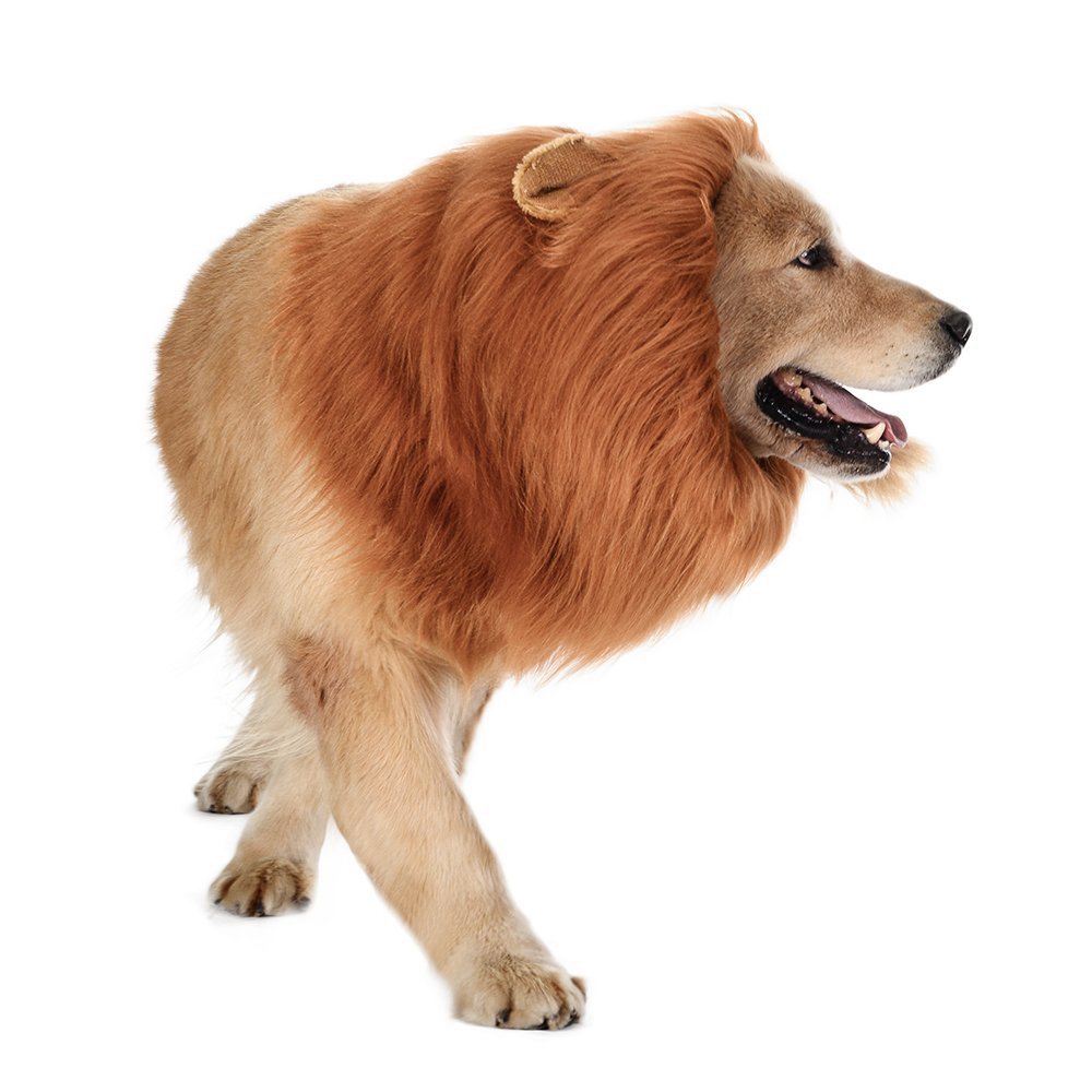 Large Halloween Pet Lion Wig