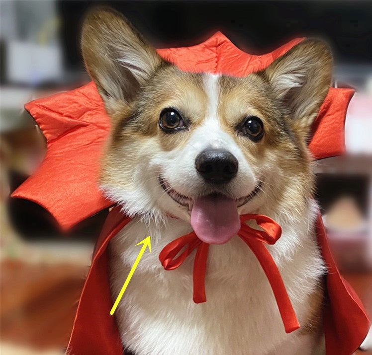 Vampire Pet Cape