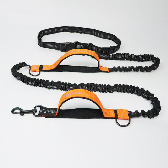 Adjustable Jogging Pet Leash & Collar