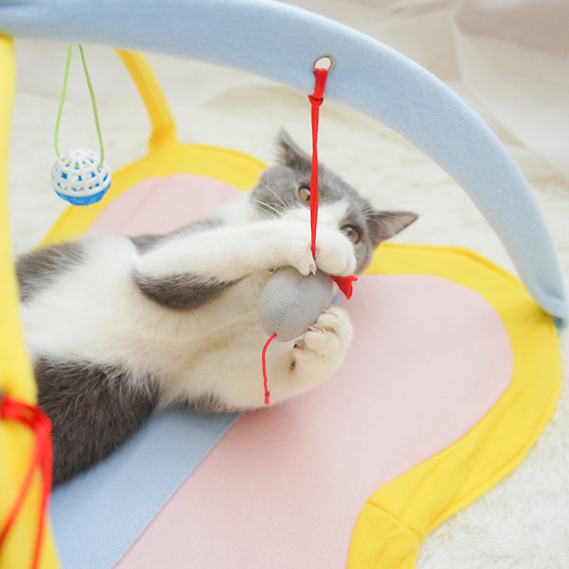 Cat Toy Set