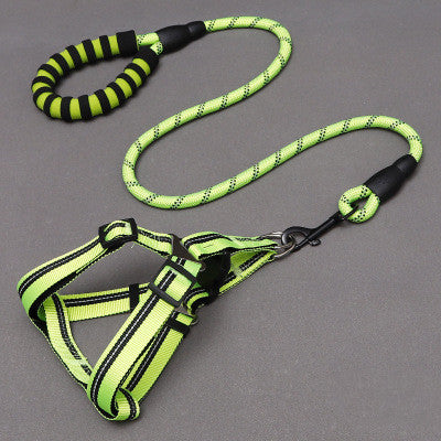 2-in-1 Dog Leash & Harness