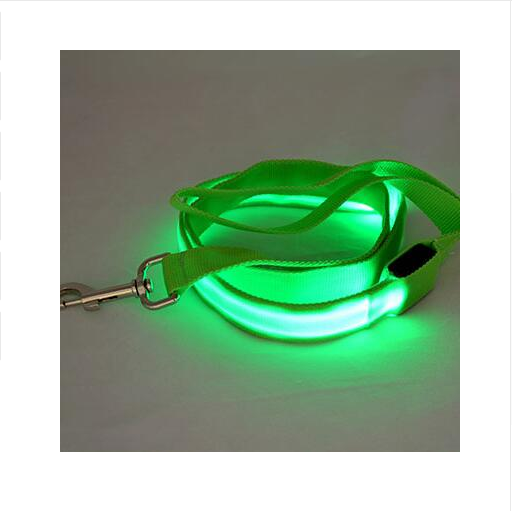 LED Illuminated Traction Nylon Pet Leash