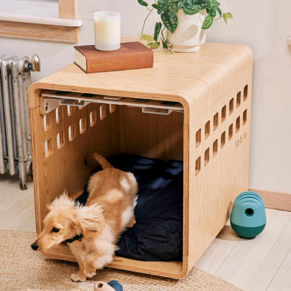 Indoor Dog House