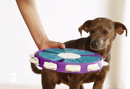 Dog Educational Toy