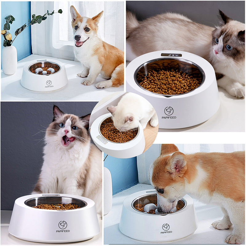 Smart Weighing Slow Pet Feeder