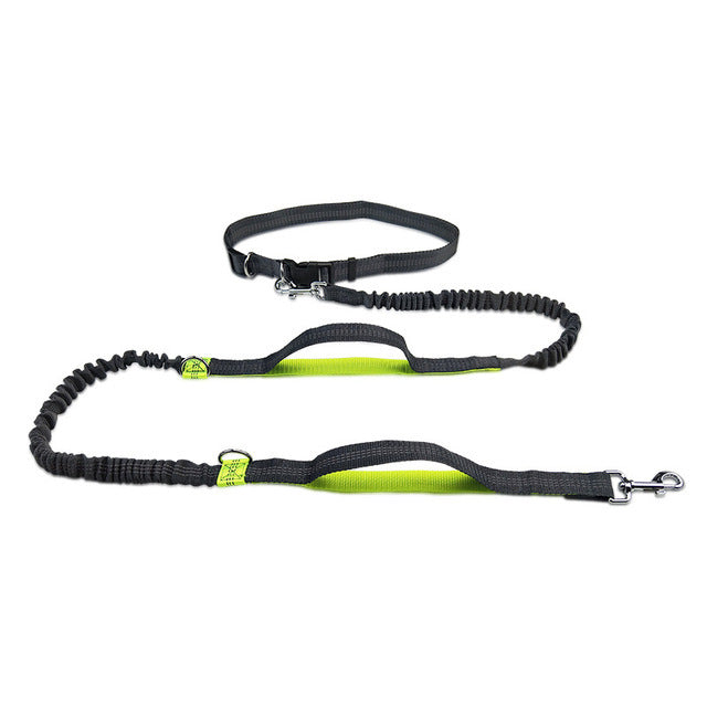 Harness Collar Jogging Adjustable Pet Leash