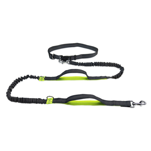 Adjustable Jogging Pet Leash & Collar