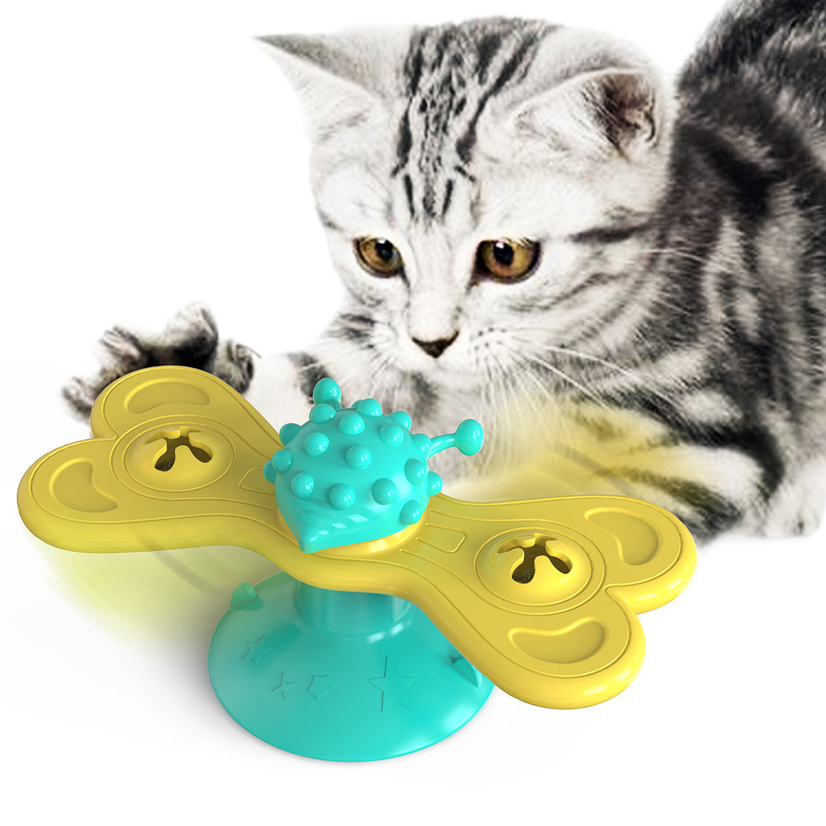 Cat Small Toy