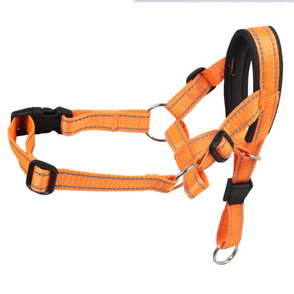 Nylon Dog Muzzle and Rope