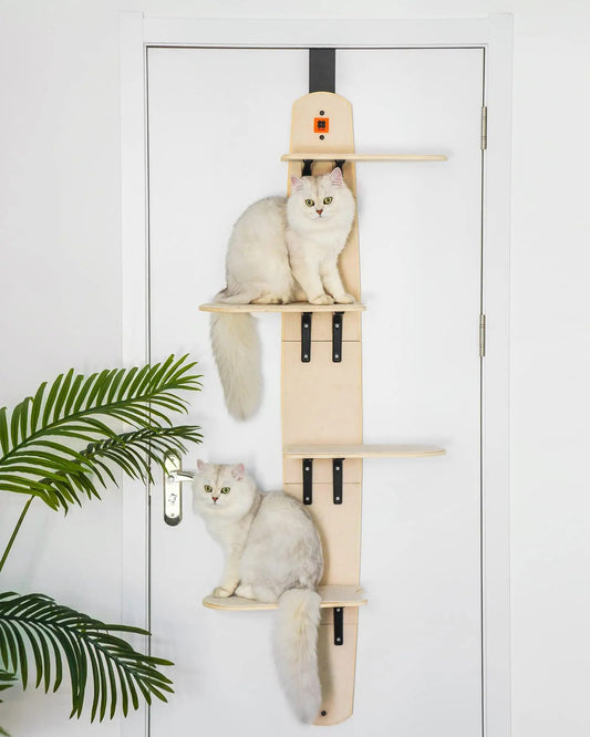 Cat Climber Shelves