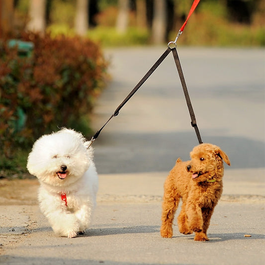 Twin Pet Leash