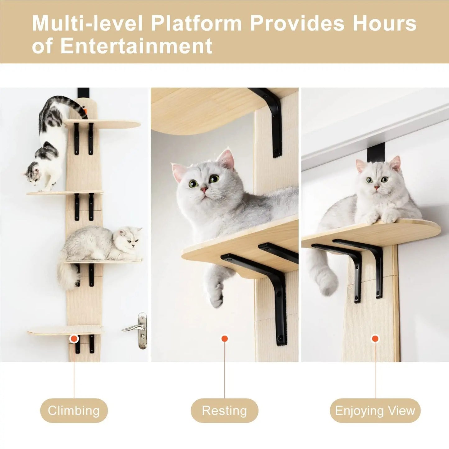 Cat Climber Shelves