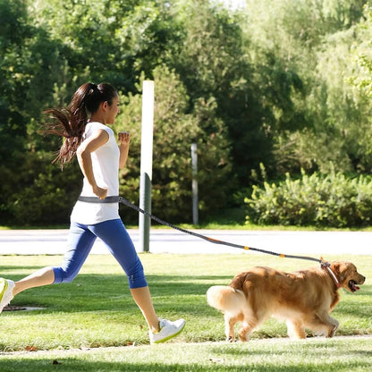 Adjustable Jogging Pet Leash & Collar