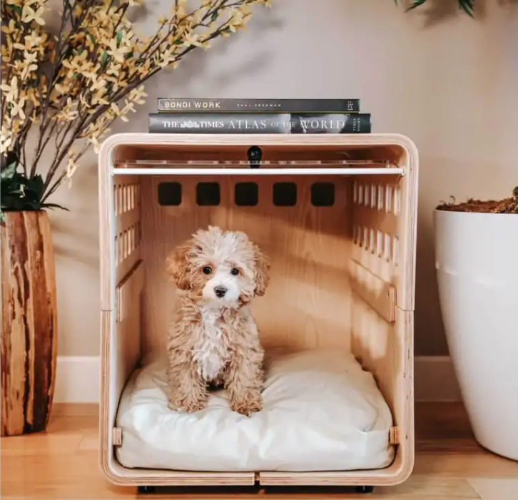 Indoor Dog House