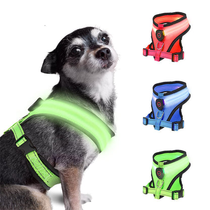 LED Dog Harness