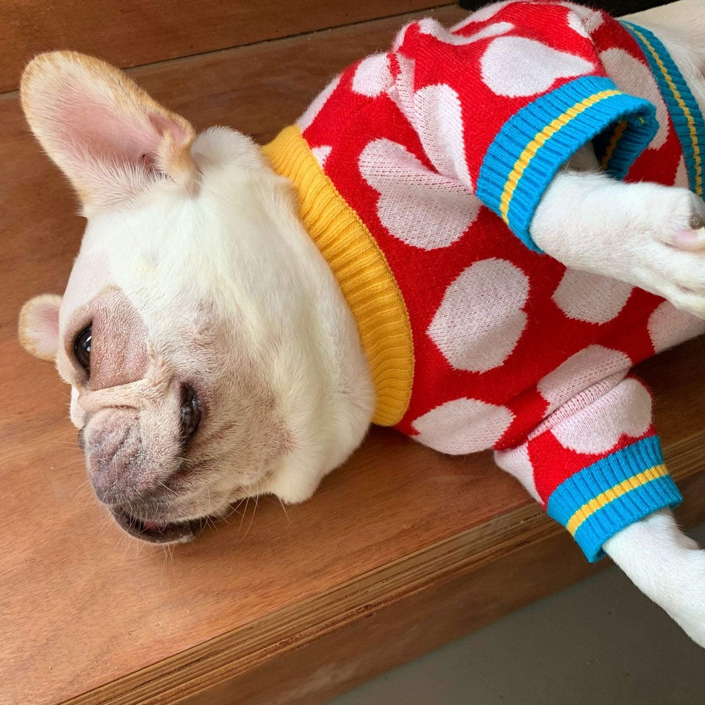 Valentine's Day Heart Sweater