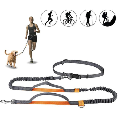 Adjustable Jogging Pet Leash & Collar