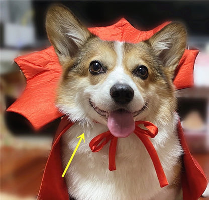 Vampire Pet Cape