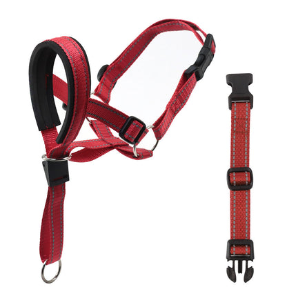 Nylon Dog Muzzle and Rope